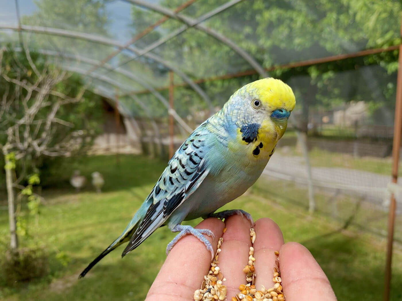 Parc Animalier de Lussas